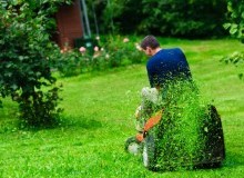 Kwikfynd Lawn Mowing
delungra